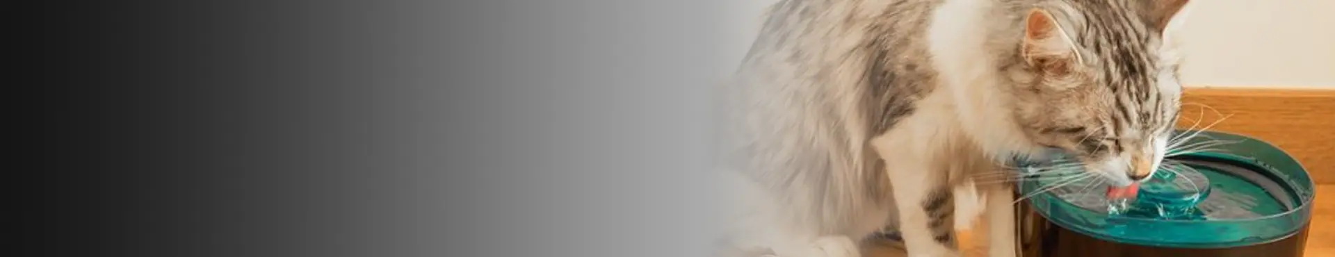 shop banner Pet Water Fountains
